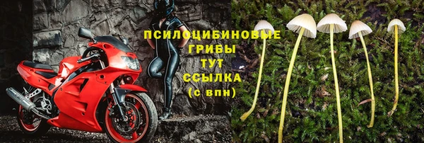 ALPHA-PVP Алзамай