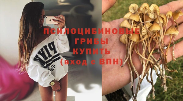 ALPHA-PVP Алзамай