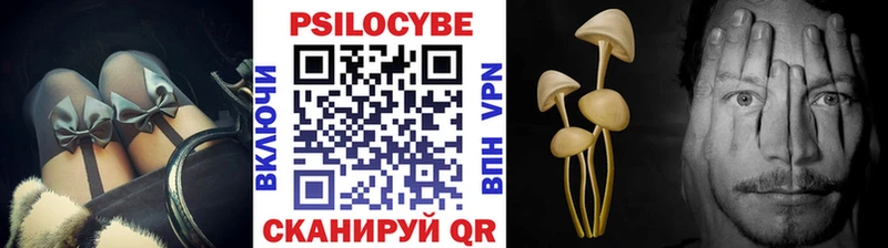 Псилоцибиновые грибы GOLDEN TEACHER кракен ссылки Нефтекамск